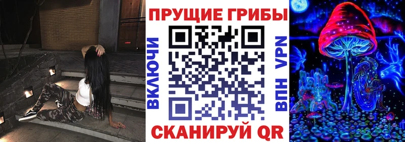 сколько стоит  ссылка на мегу ссылки  Псилоцибиновые грибы Psilocybe  Емва 